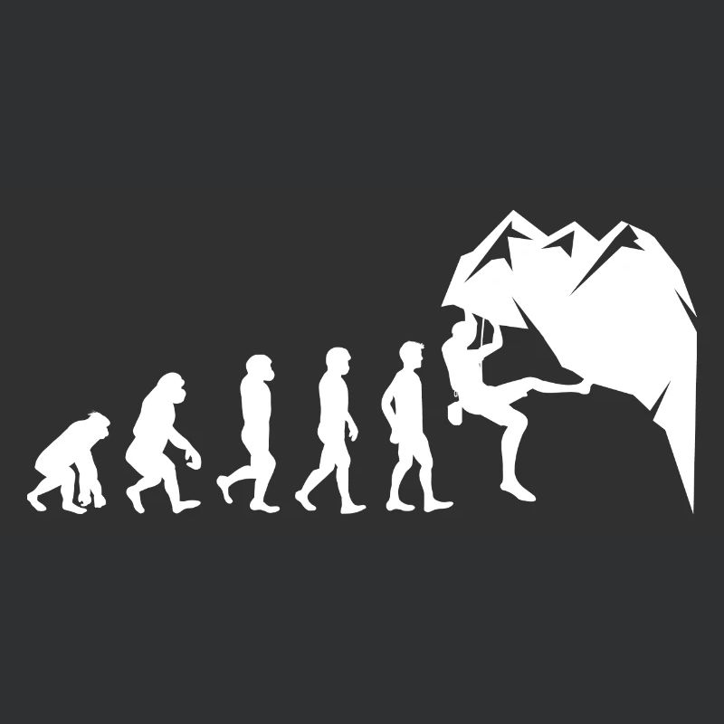 Klettern Boulder Wall Climber Evolution