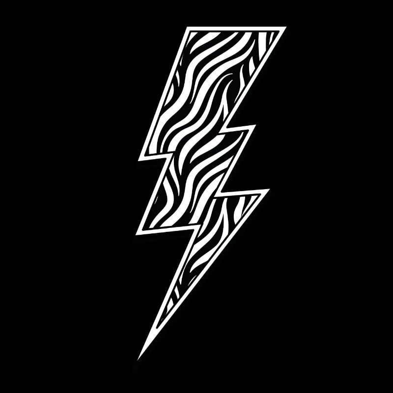 Zebra Flash