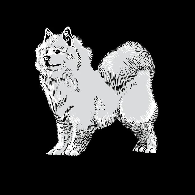 Samojede Schlittenhund Samojeden Geschenk