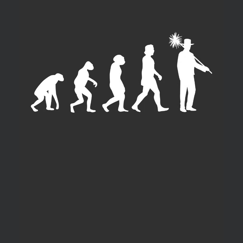 Schornsteinfeger Evolution Schornstein Kaminfeger