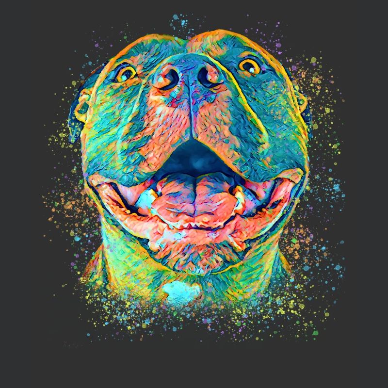 Pitbull mignon