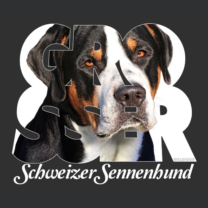 Grosser Schweizer Sennenhund