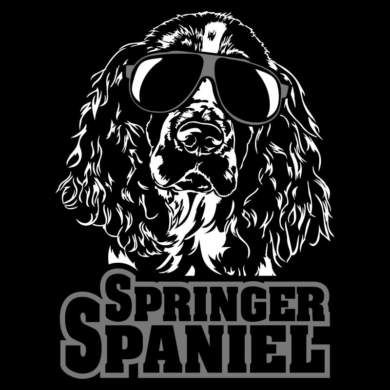 SPRINGER SPANIEL cool