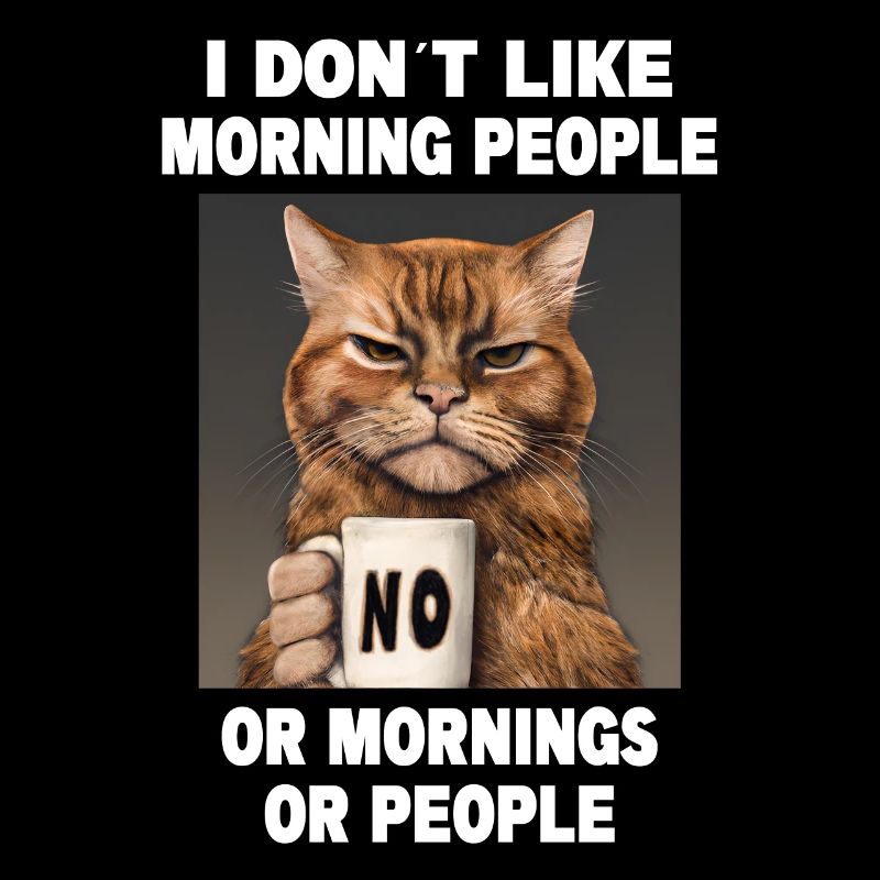 Dont like morning people Grumpy Funny Cat