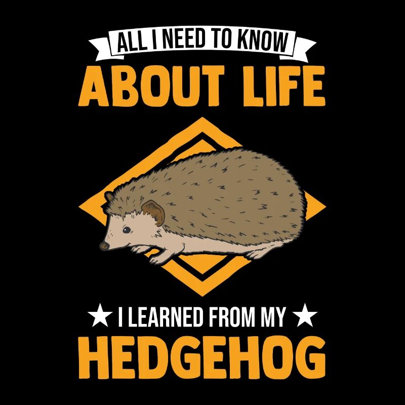 Igel Geschenk Stacheligel