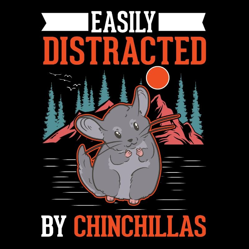 Easily distracted by Chinchillas