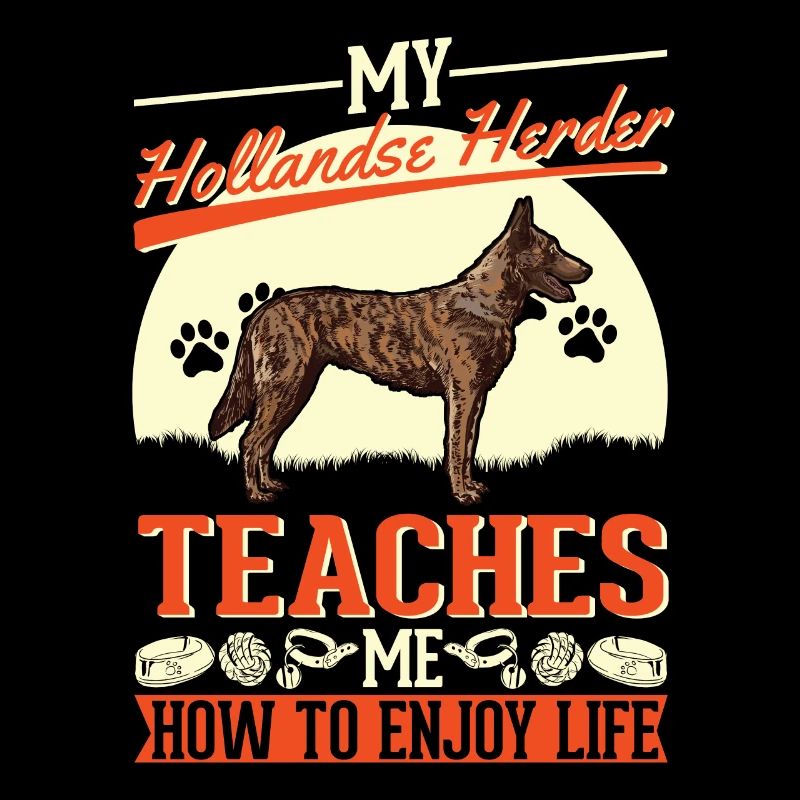 Hollandse Herder Hollandse Herderdshond