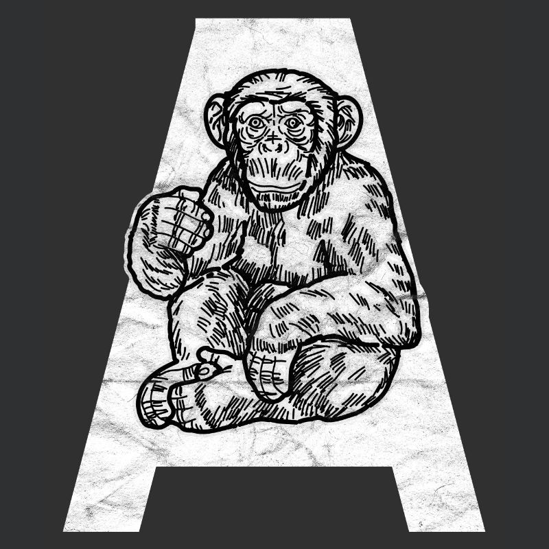 Monkey primate chimpanzee