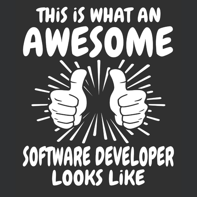 Software Developer
