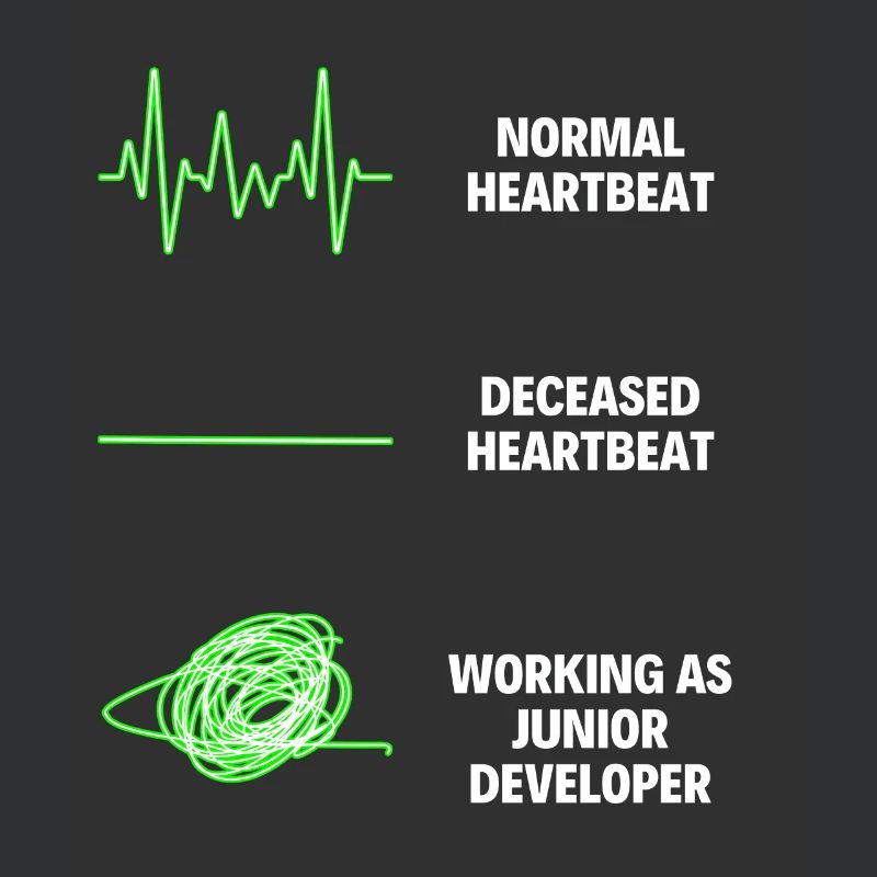 Junior Developer Professional Worker