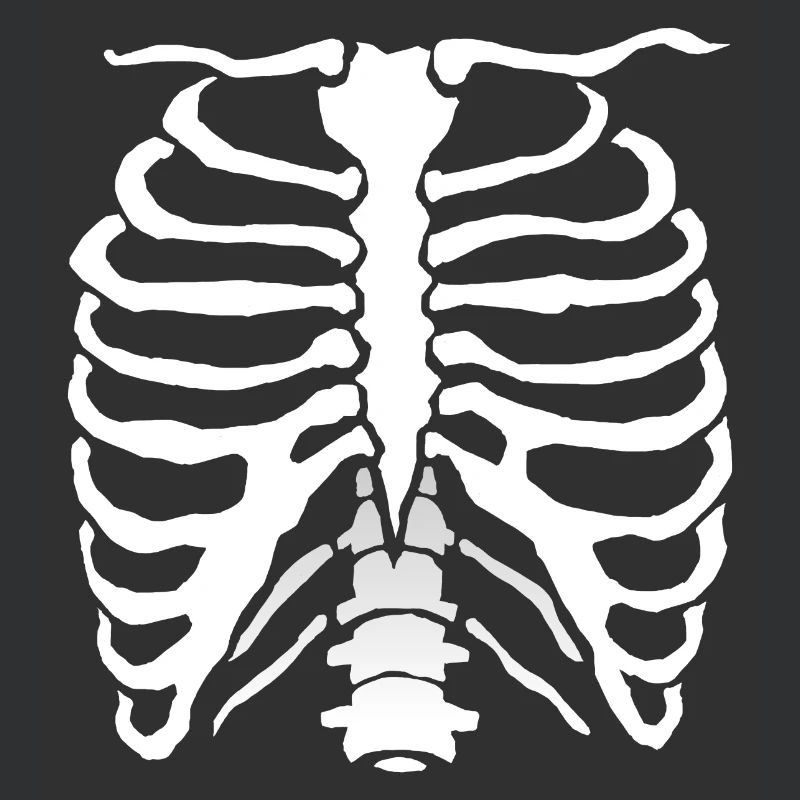 Human Bone Rib Cage