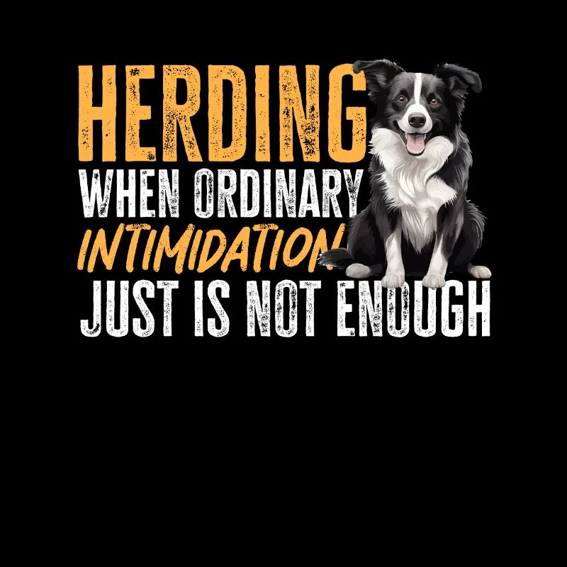 Border Collie Dog - Herding when ordinary