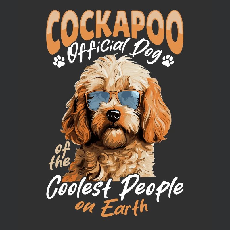 Cockapoo Race de chien Chien de compagnie Cockapoo Chien officiel
