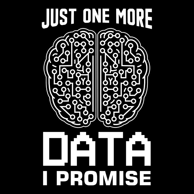 Algorithmes d’apprentissage automatique Analyste de données IA