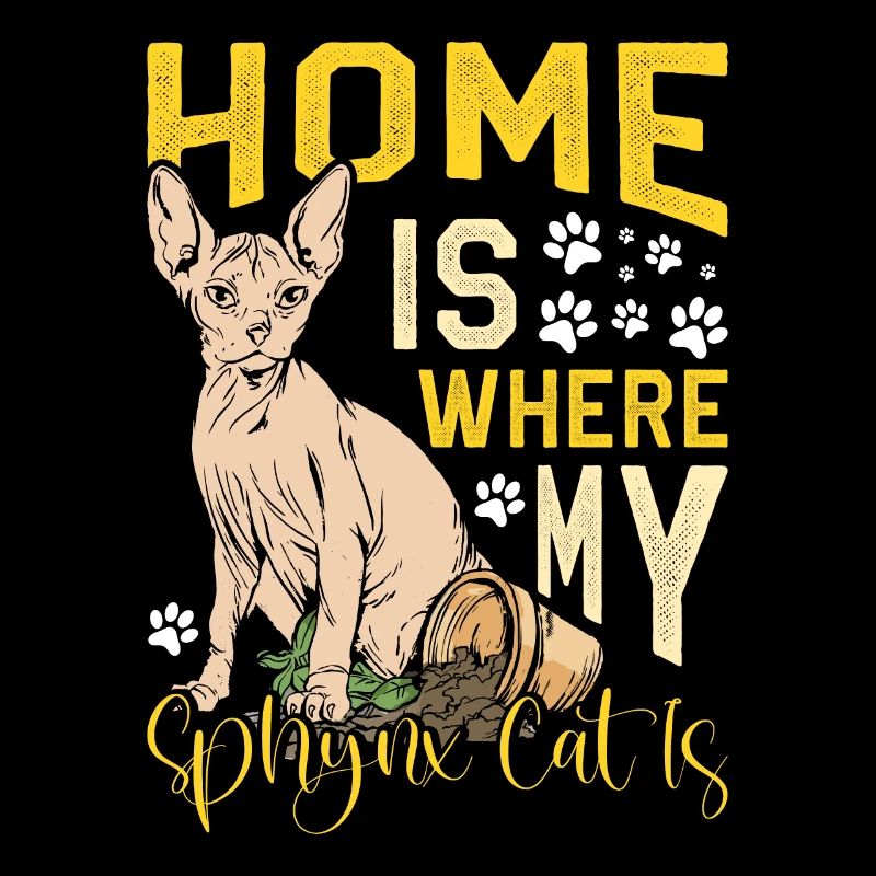 Drôle de chat Sphynx Dicton