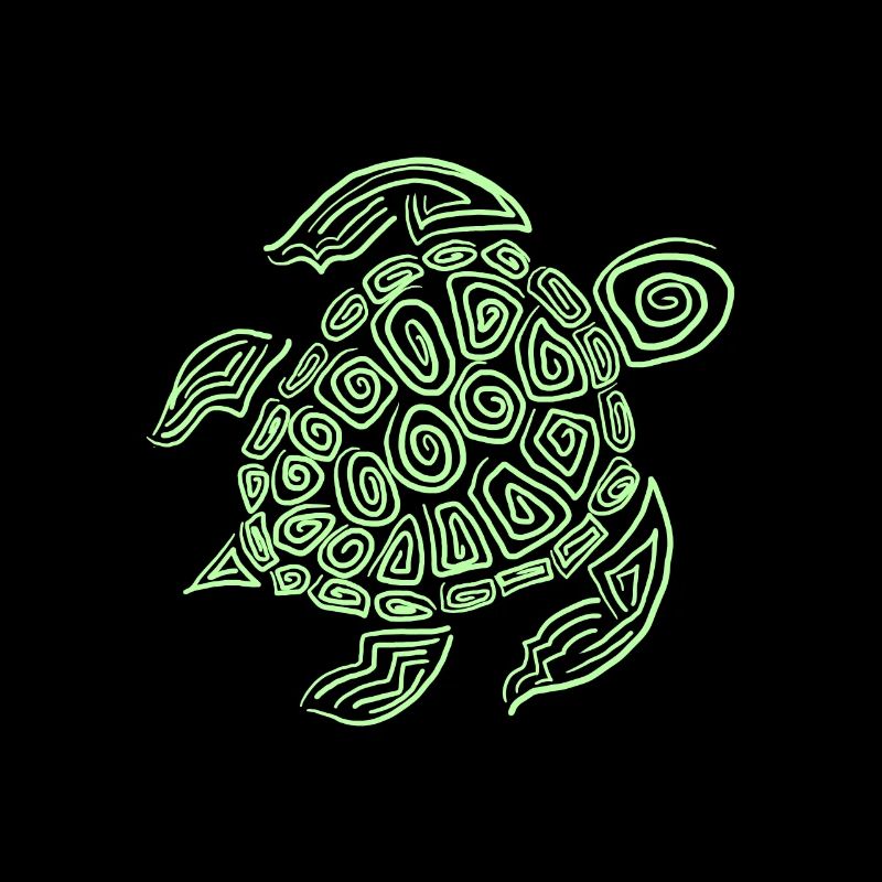 Turtle turtle shell animal
