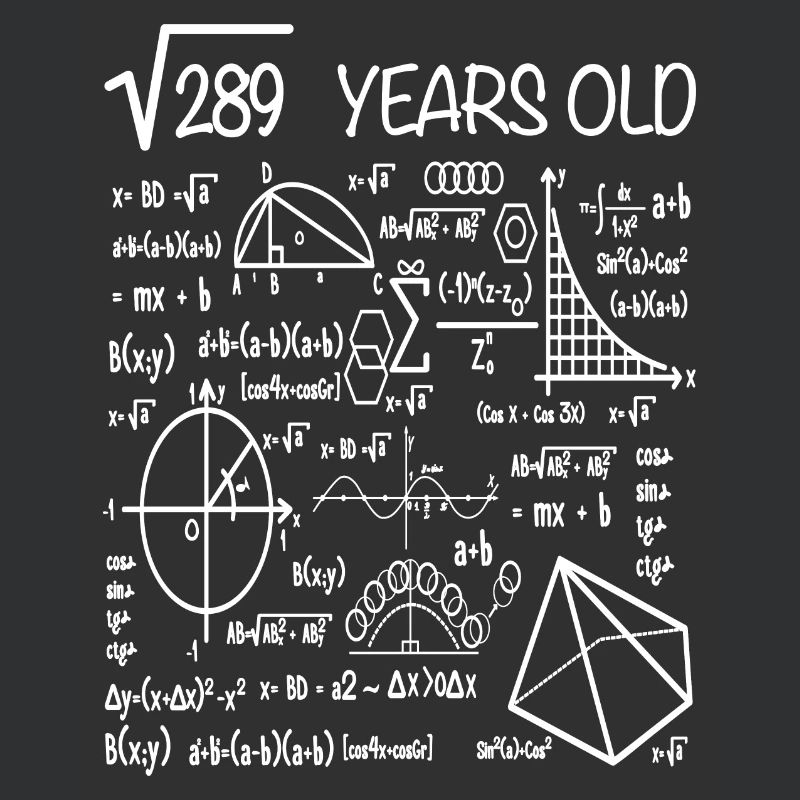 17th birthday math square root