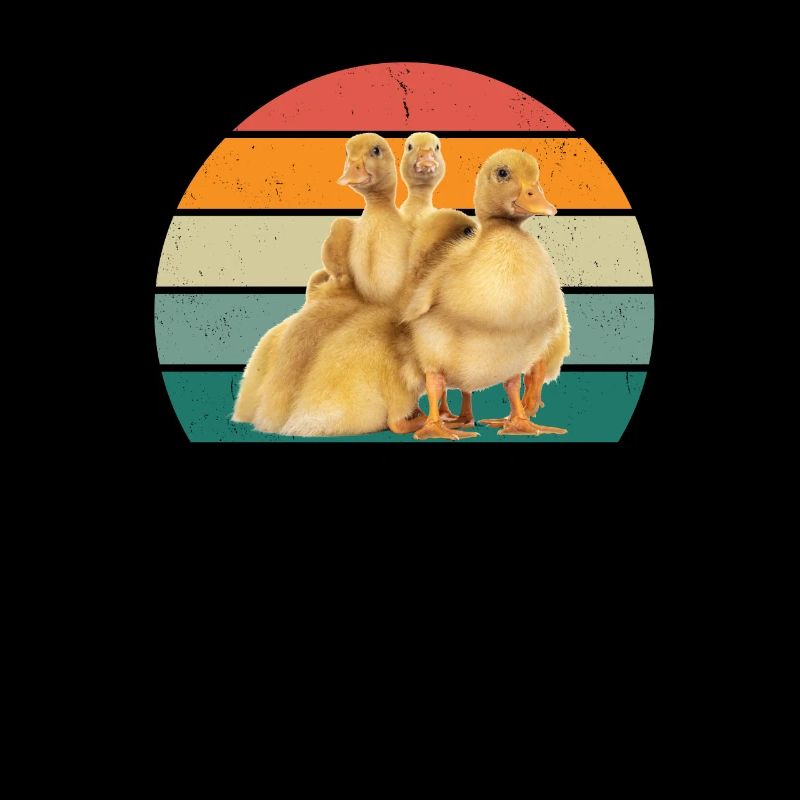 Canards Natation Mouche Waddle Caoutchouc Canard Canard