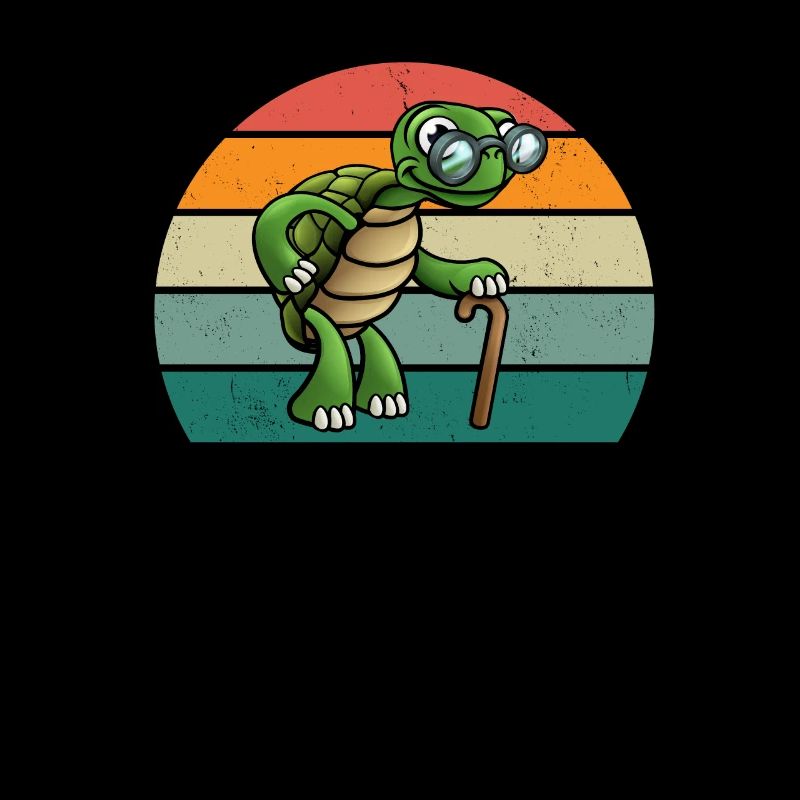 Turtles Turtle Shell Lizard Reptiles