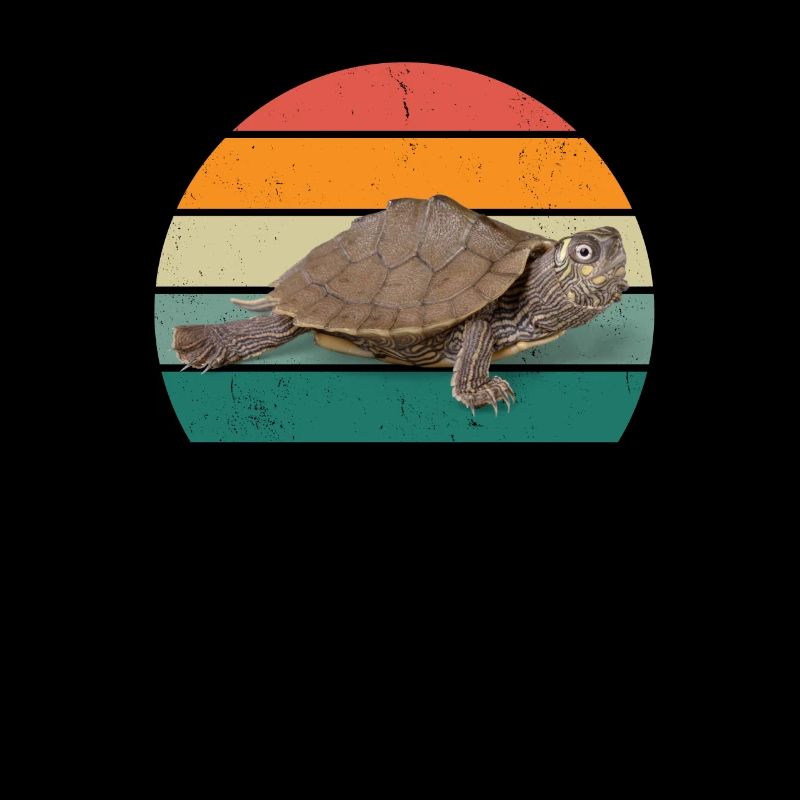 Turtles Turtle Shell Lizard Reptiles