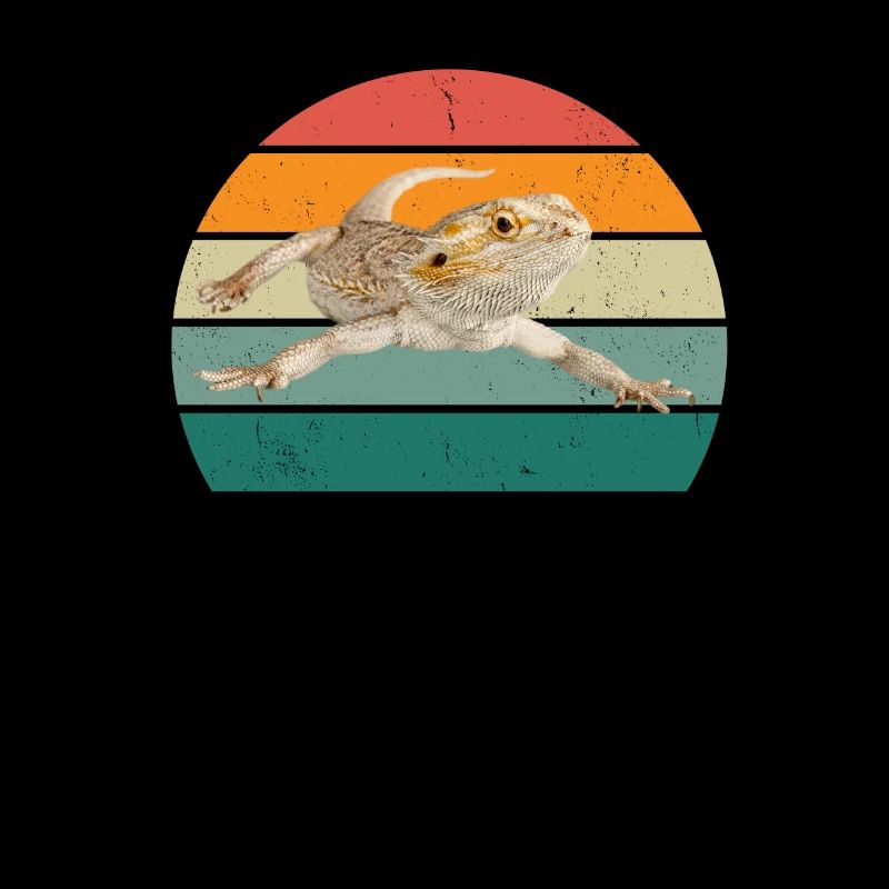 Lizard Lizards Cold-blooded scales Reptiles