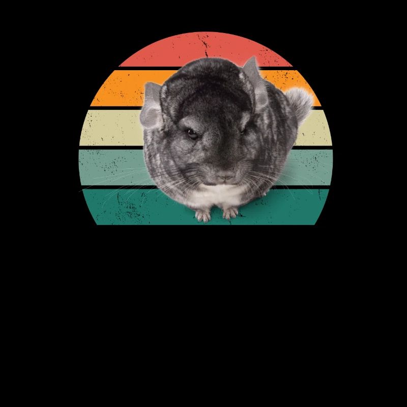 Rodents Rodents Hamster Rat Mouse Squirrel