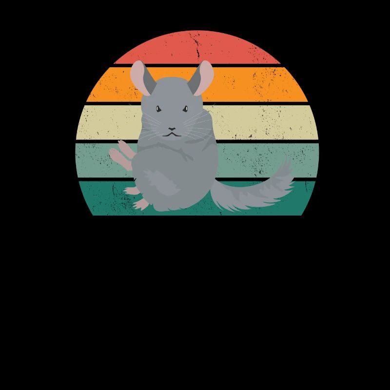 Rodents Rodents Hamster Rat Mouse Squirrel