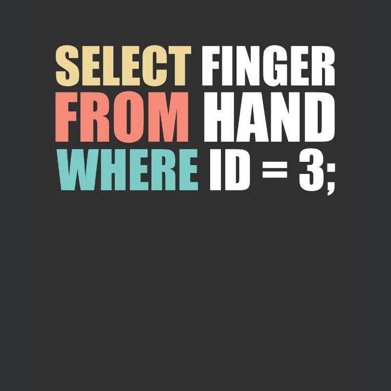 Computer scientist programmer