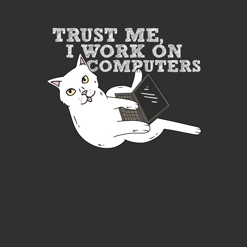 Computer cat programmer