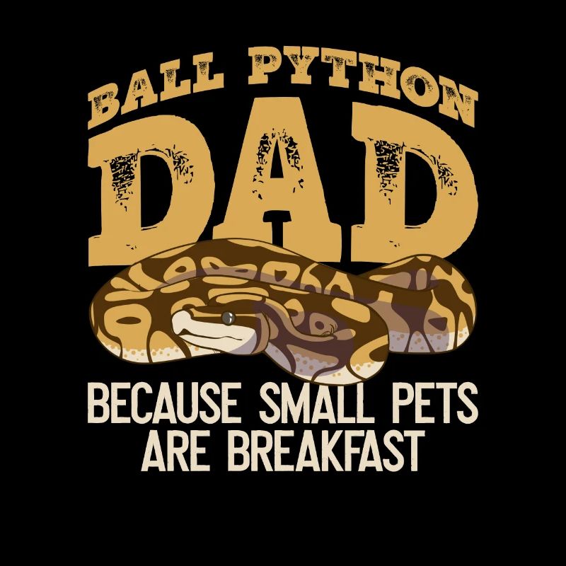 Boule de banane Python Papa Königspython Besitzer