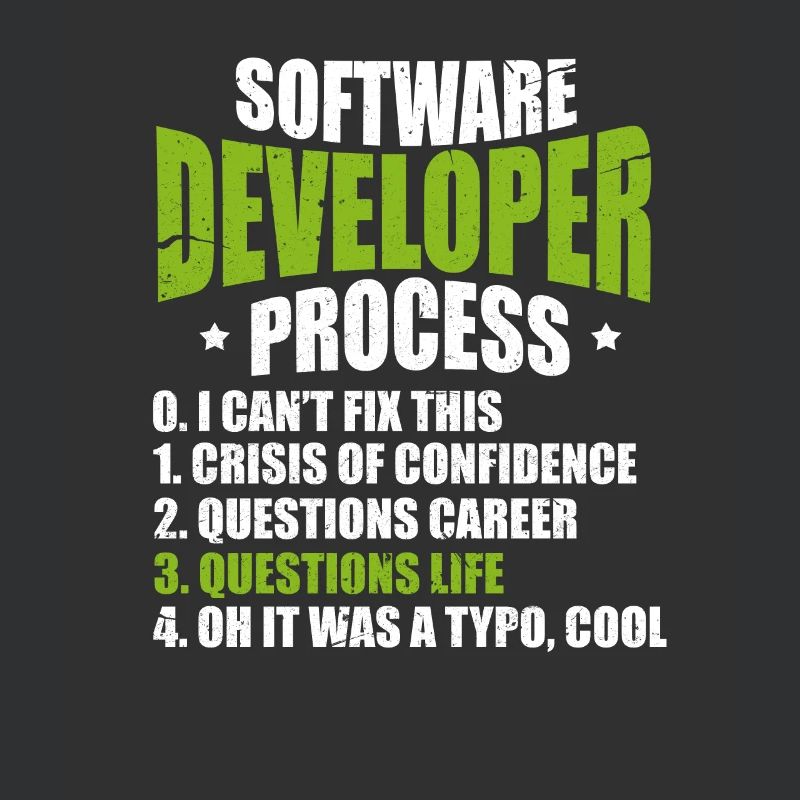 Software developer programmer software