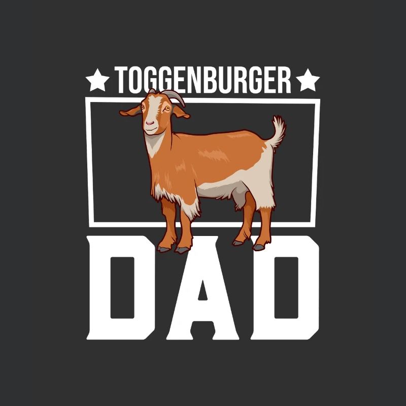Papa einer Toggenburger Ziege