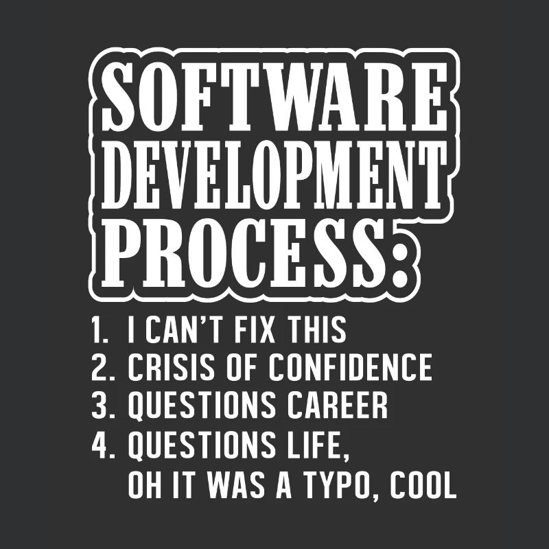 Programmierer und Informatiker