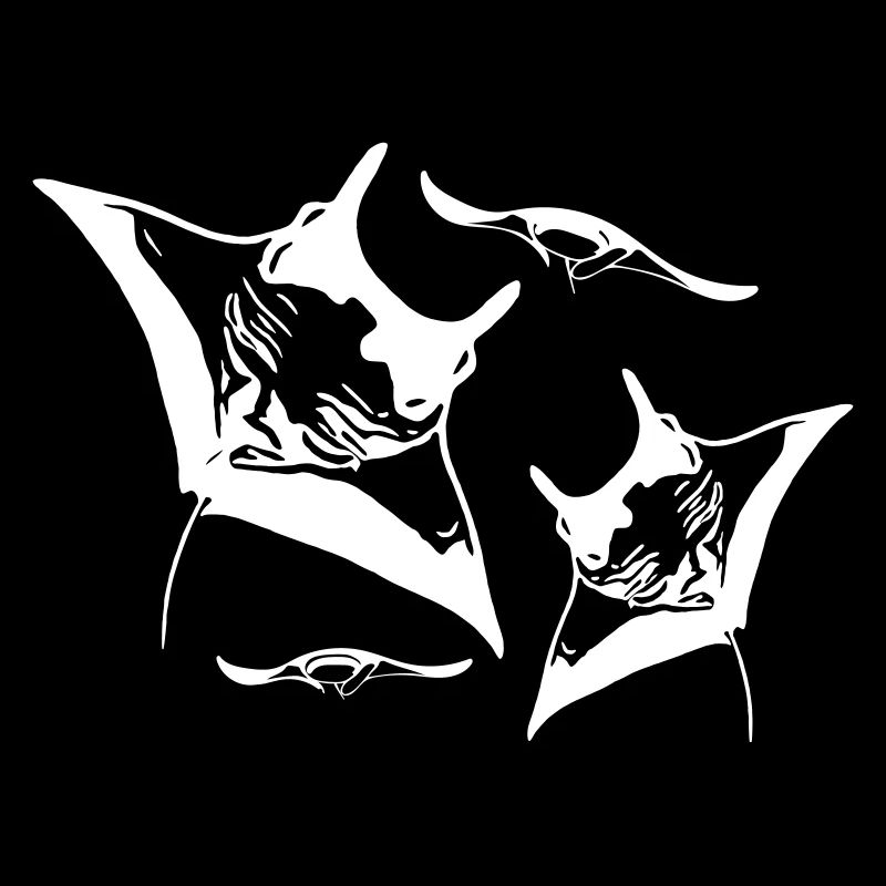 Manta Schwarm