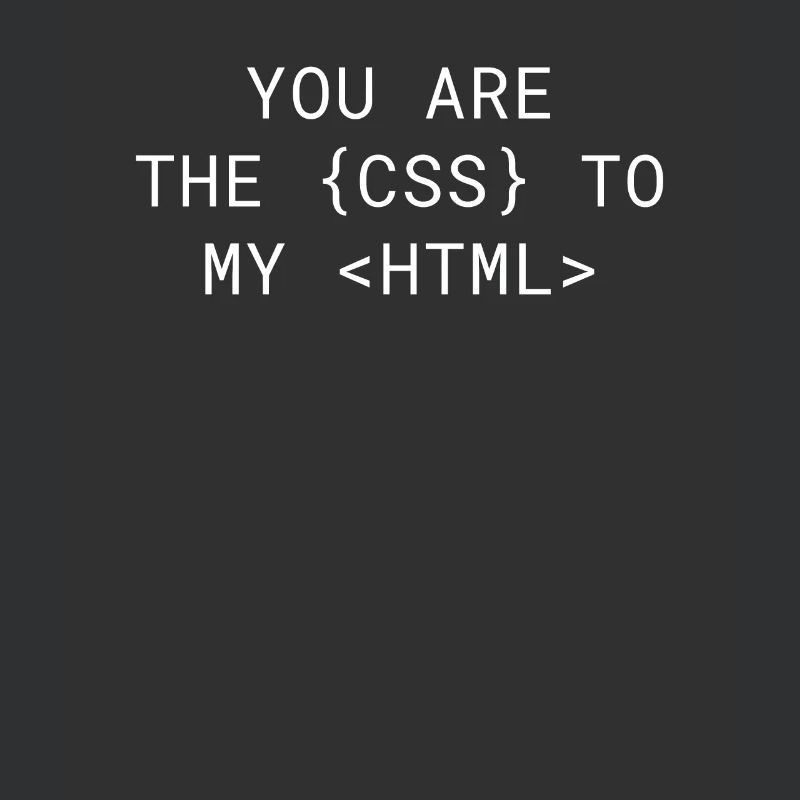 Vous êtes le CSS de mon HTML