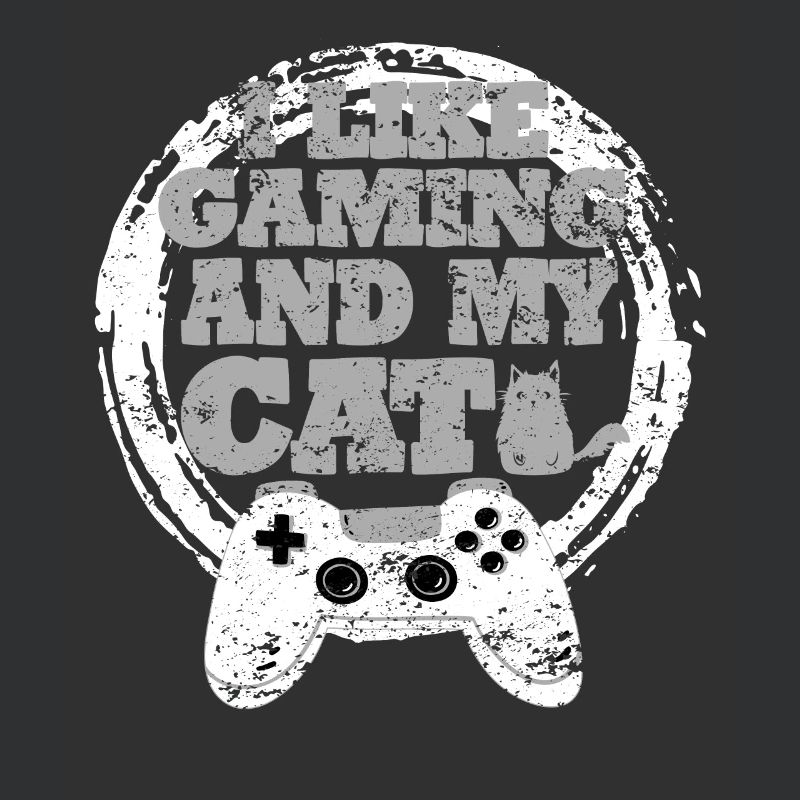 Idée cadeau de chat de jeu