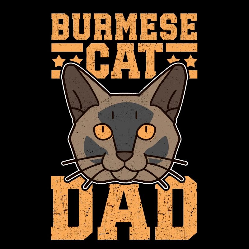 Papa birman chat chat birman chats cadeau