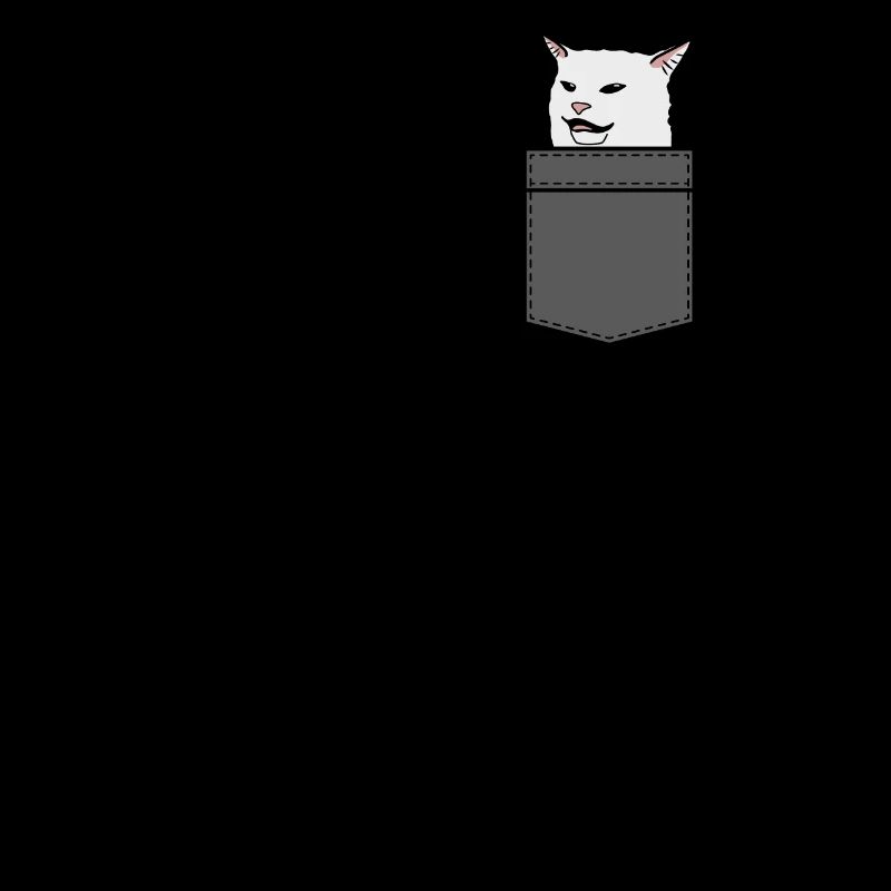Drôle chat blanc meme 2019 Dans la poche