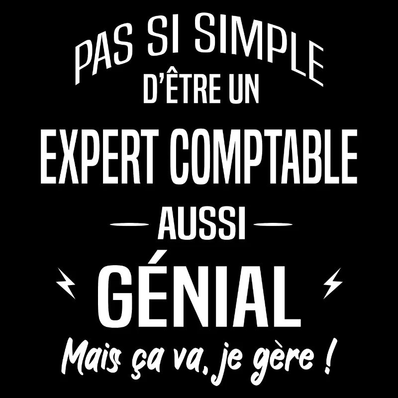 Expert comptable