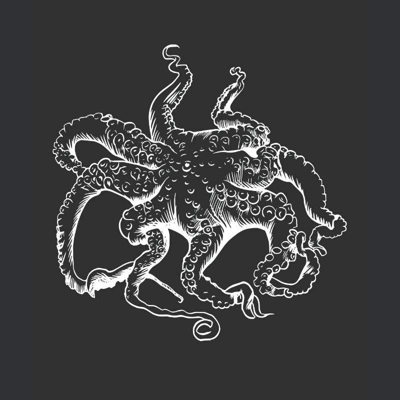 Octopus Squid Tentacle Ocean Ocean