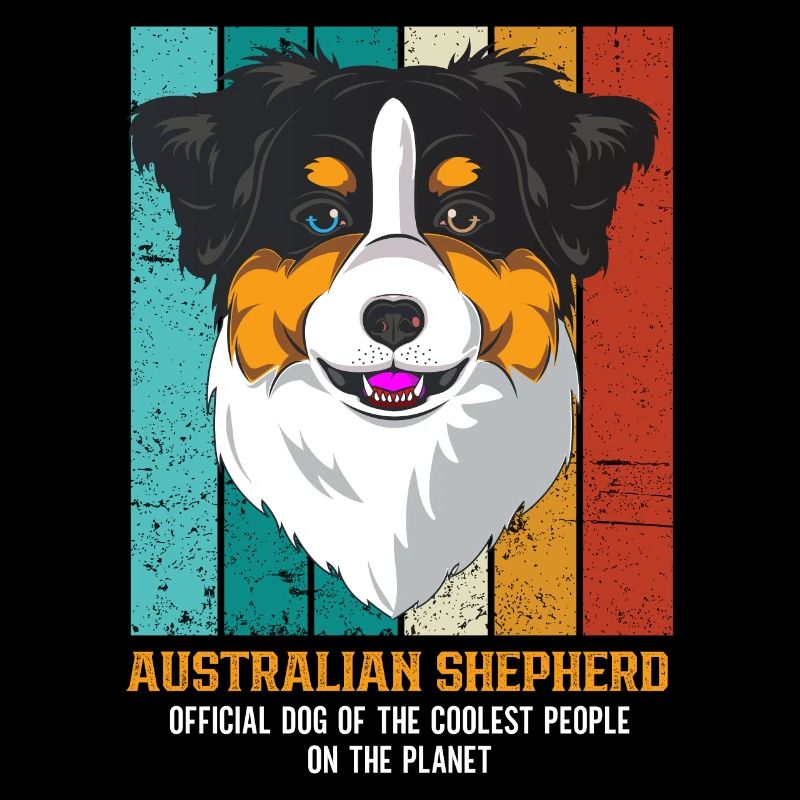 Australian Shepherd Aussie Dad Aussie Mom