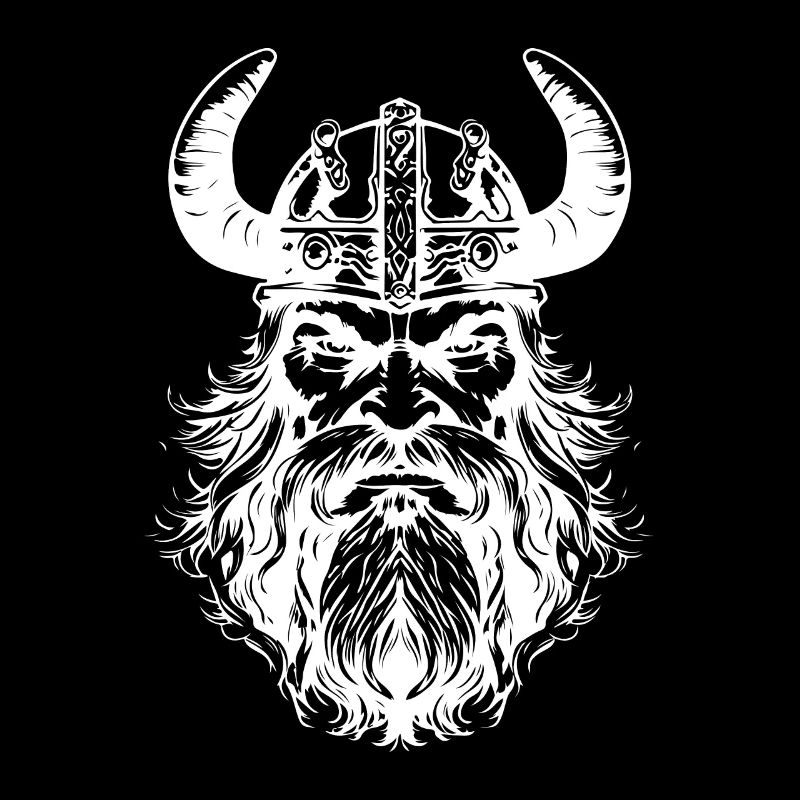 Casque Viking Valhalla