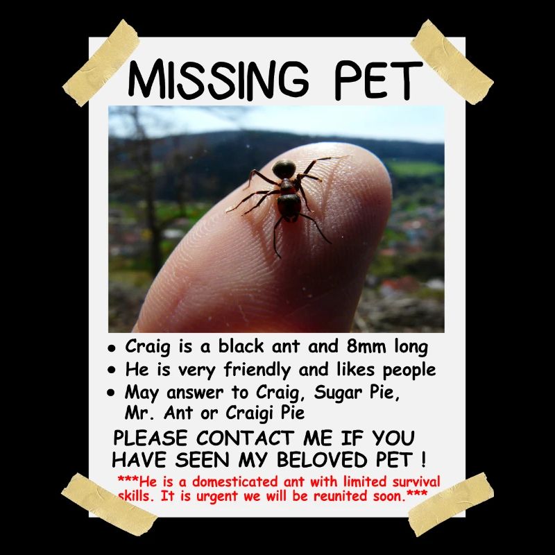Missing Pet Ant