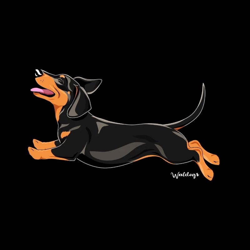 Dachshund Smooth 3