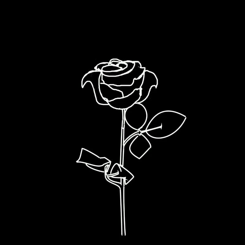 Weise Rose