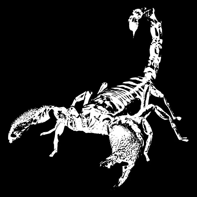 Scorpion