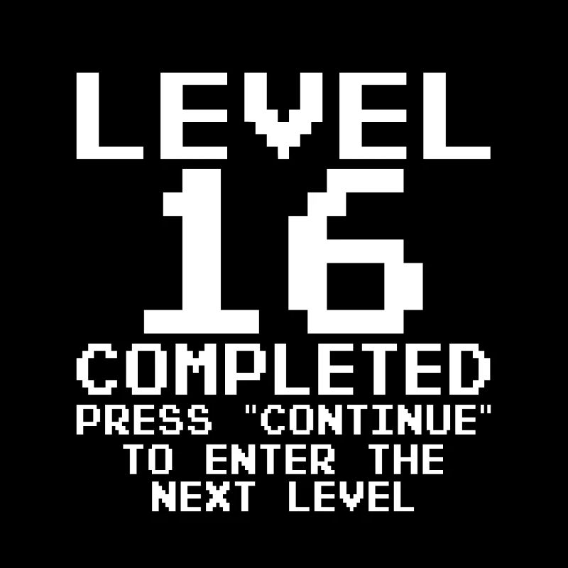Level 16 Complete Gamer 16 Years Old Gamer