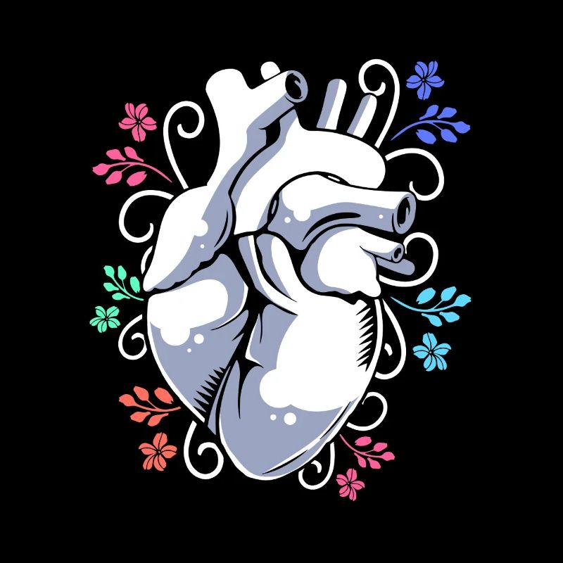 Kidney Donor Donor Kidney