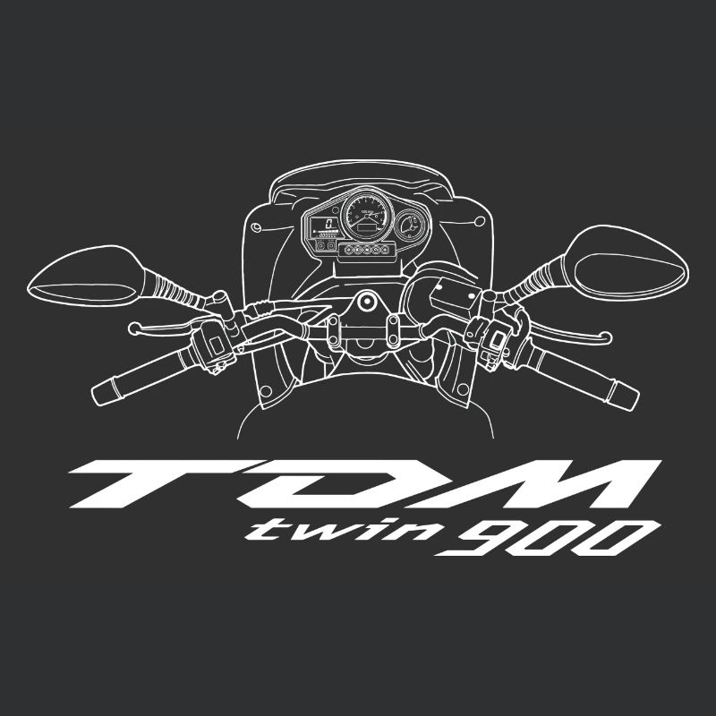 TDM900 cockpit small