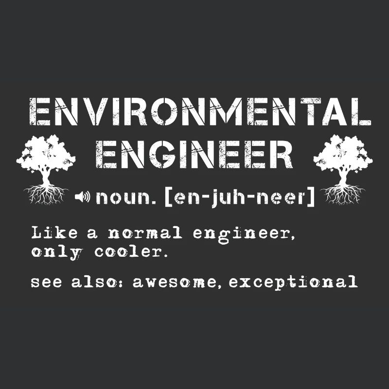 Environmental Engineer Definition
